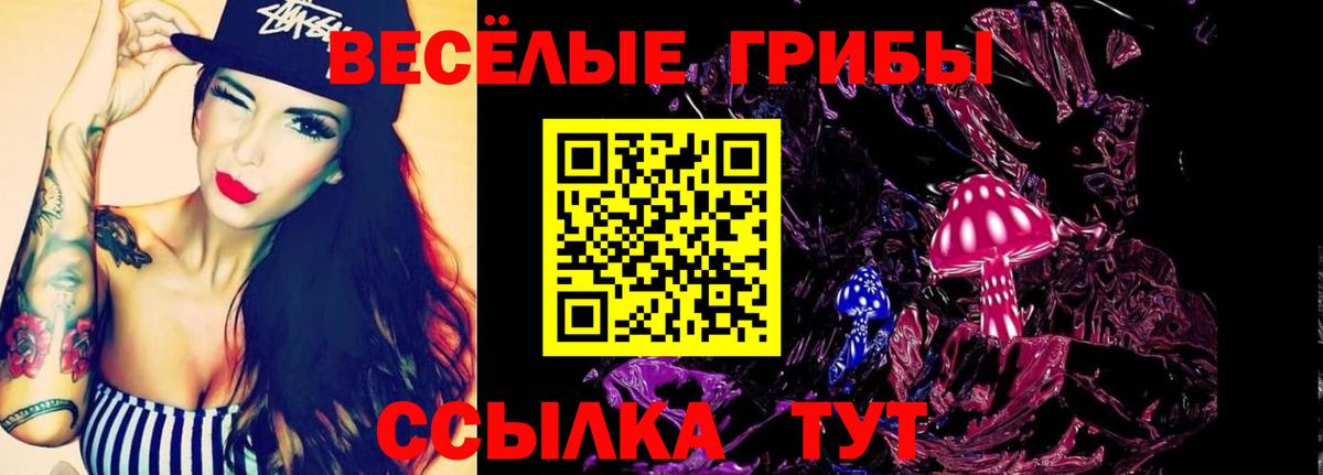 Псилоцибиновые грибы Psilocybe Печора